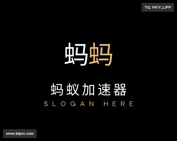 介绍蚂蚁加速器